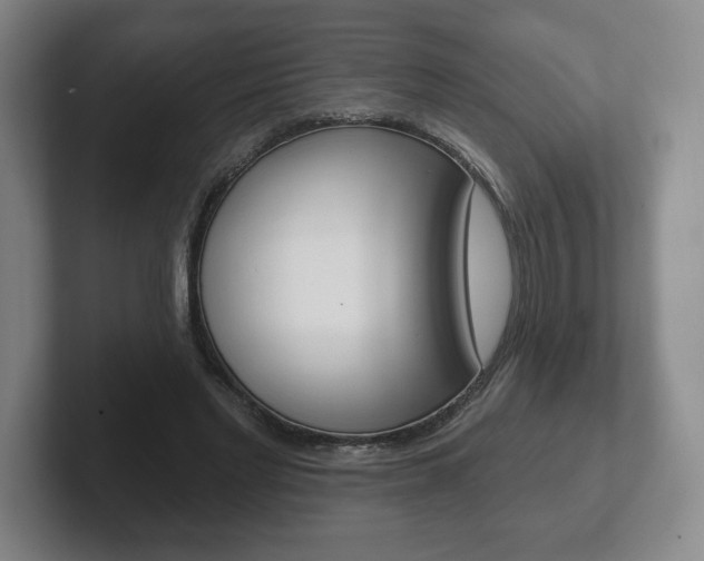 X0000102280493200807250944
