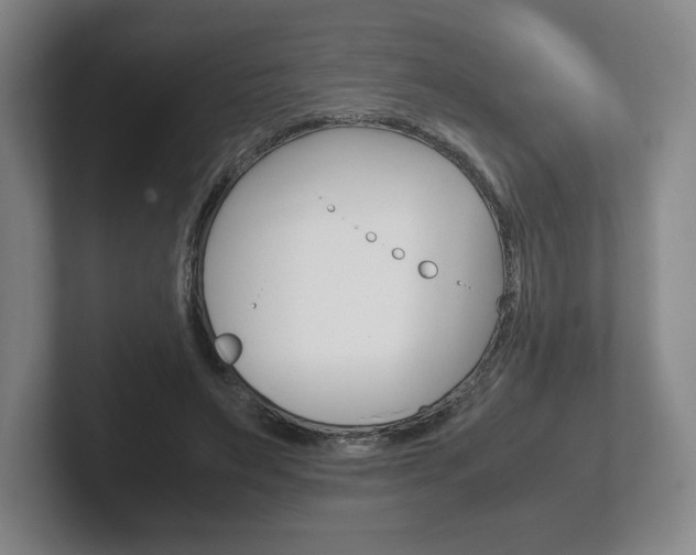 X0000102280495200807250944