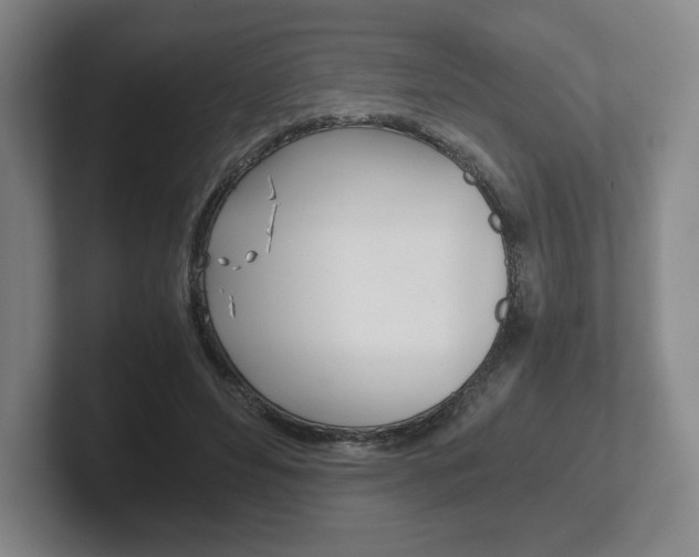 X0000102280496200807250944