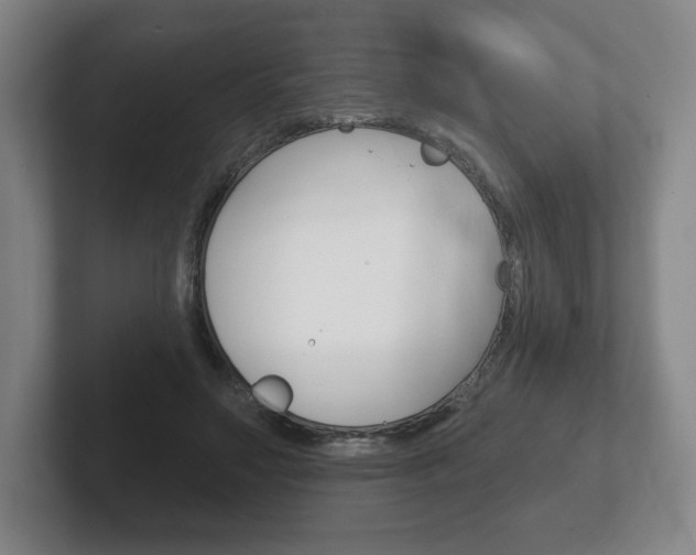 X0000102280499200807250944