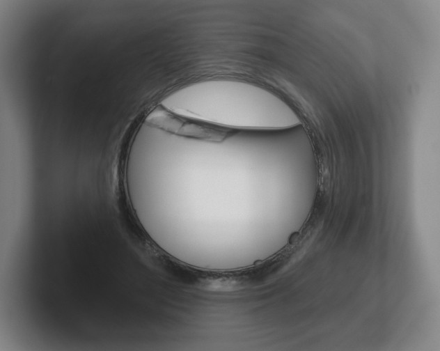 X0000102280500200807250944