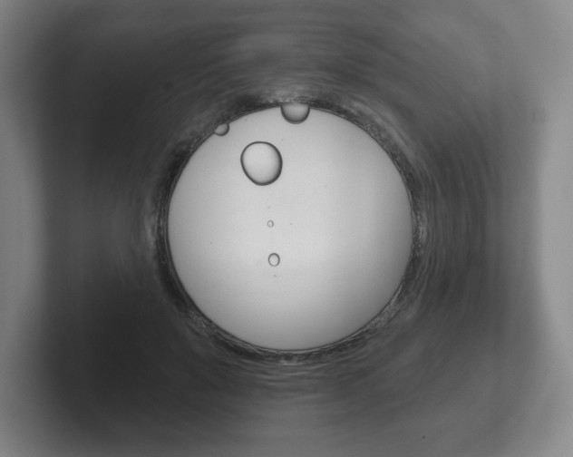 X0000102280503200807250944