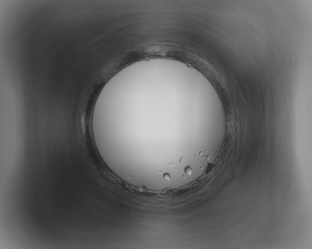X0000102280504200807250944