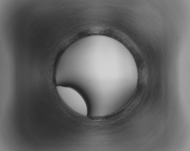 X0000102280505200807250944