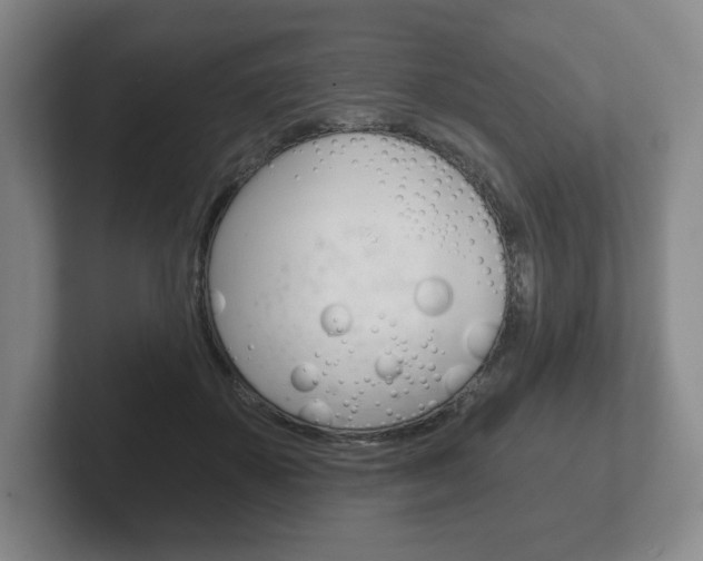 X0000102280507200807250944