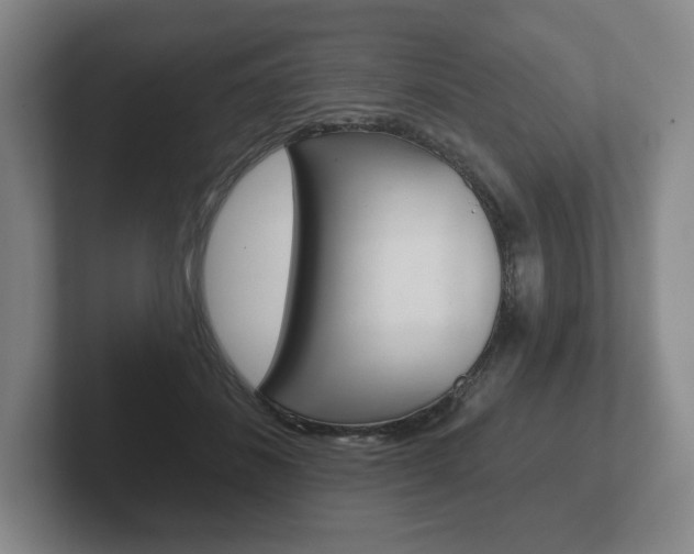 X0000102280508200807250944