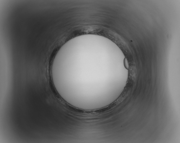 X0000102280510200807250944