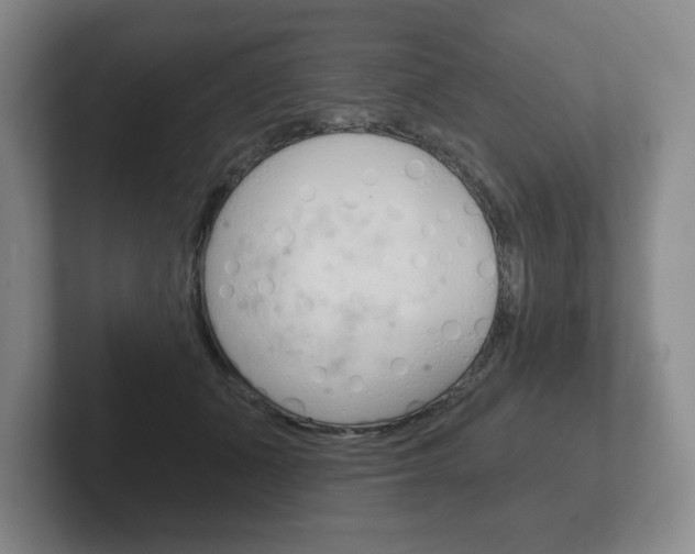 X0000102280511200807250944