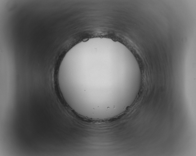 X0000102280512200807250944