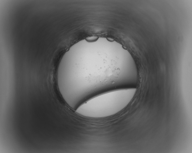 X0000102280515200807250944