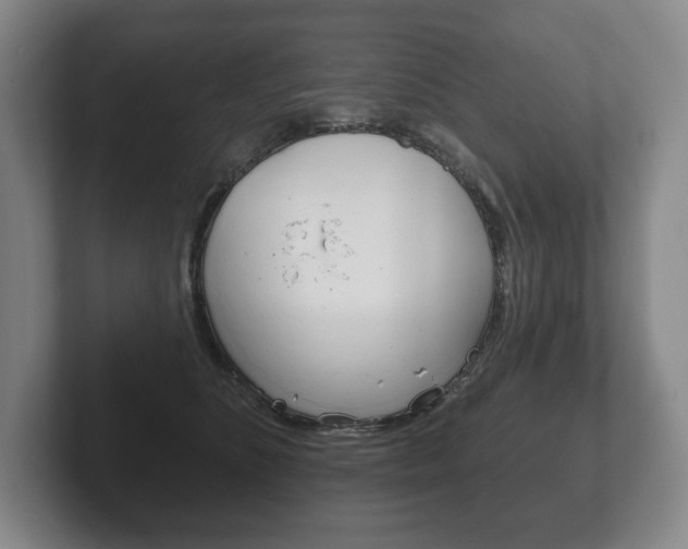 X0000102280516200807250943
