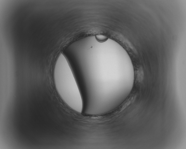 X0000102280517200807250943