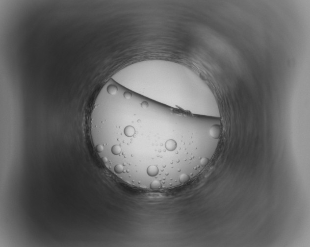 X0000102280519200807250943