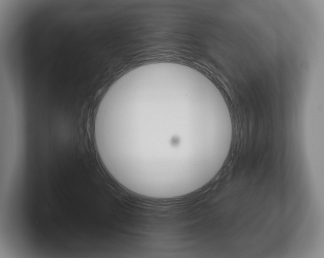 X0000102280520200807250943