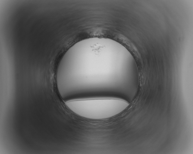 X0000102280521200807250943