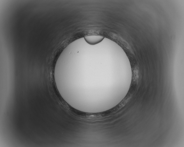 X0000102280522200807250943