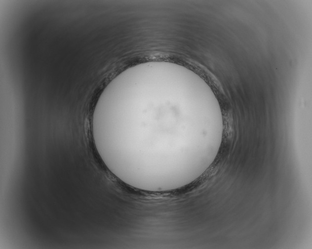 X0000102280523200807250943
