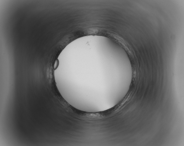 X0000102280525200807250943