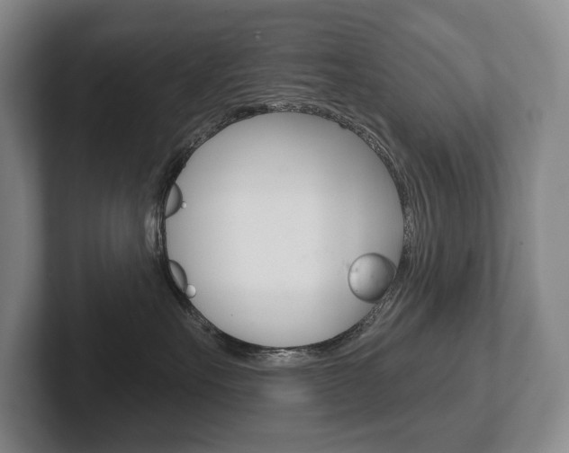 X0000102280527200807250943