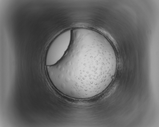X0000102280529200807250943