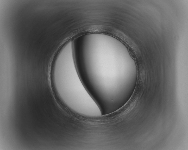 X0000102280530200807250943