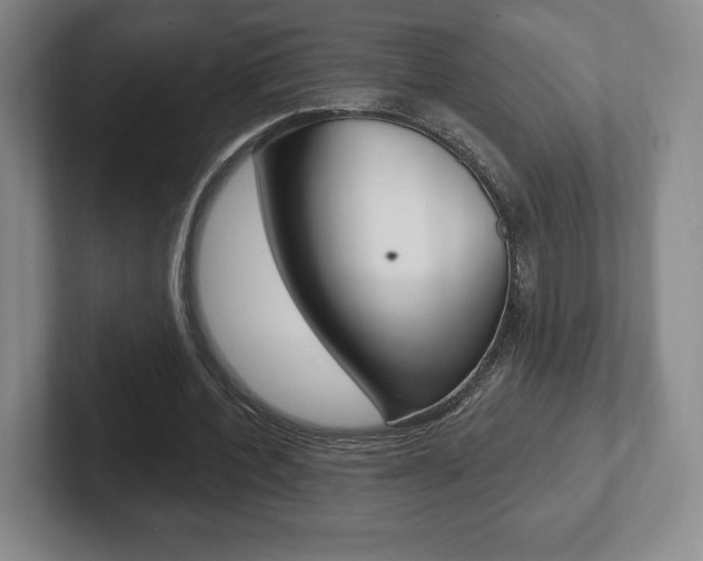 X0000102280532200807250943