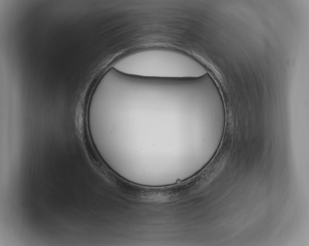 X0000102280533200807250943