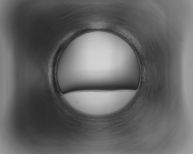 X0000102280535200807250943