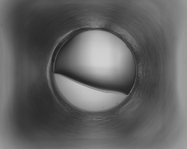 X0000102280536200807250943
