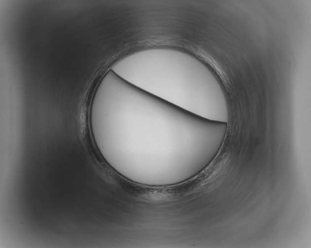 X0000102280537200807250943