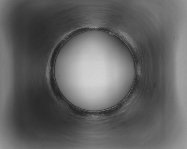 X0000102280540200807250943