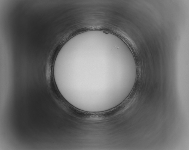 X0000102280541200807250943