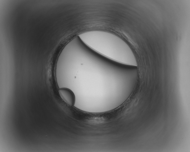 X0000102280543200807250943