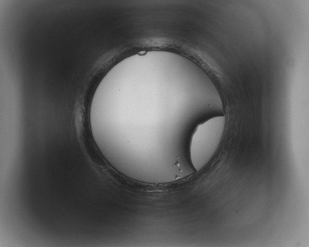 X0000102280544200807250943