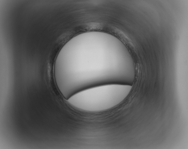 X0000102280550200807250943