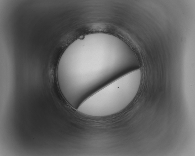 X0000102280551200807250943