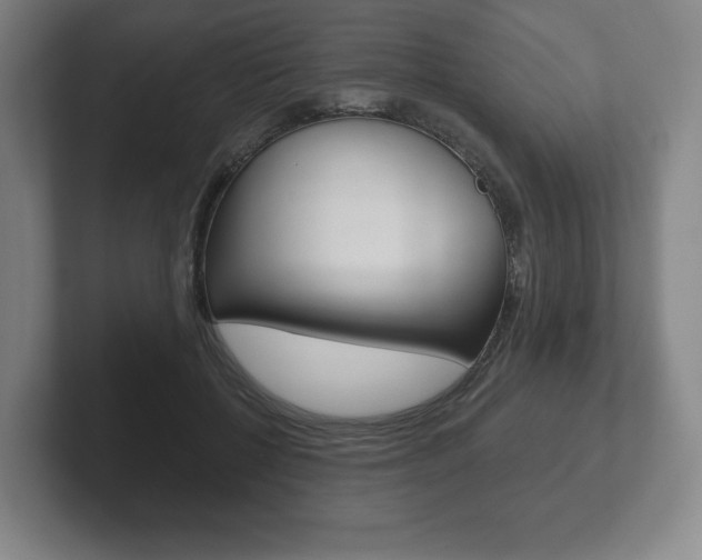 X0000102280552200807250943