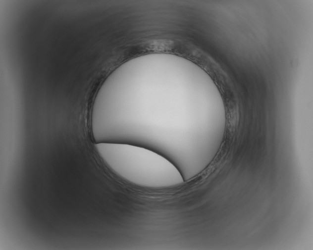 X0000102280553200807250943