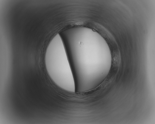 X0000102280555200807250943