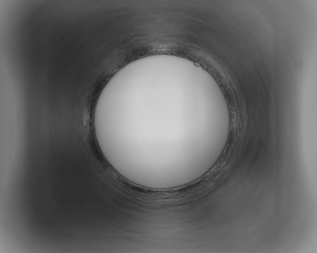 X0000102280557200807250943