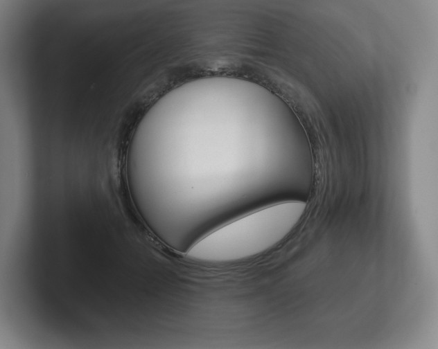 X0000102280558200807250943