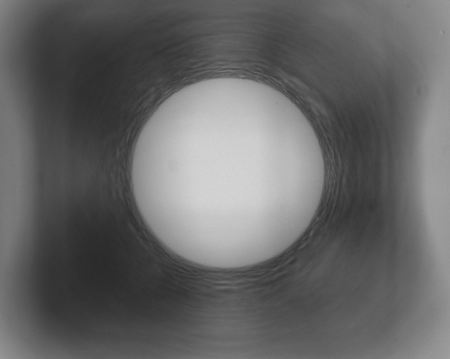X0000102280560200807250943