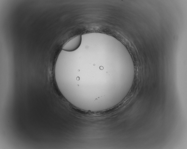 X0000102280561200807250943
