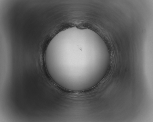 X0000102280562200807250943
