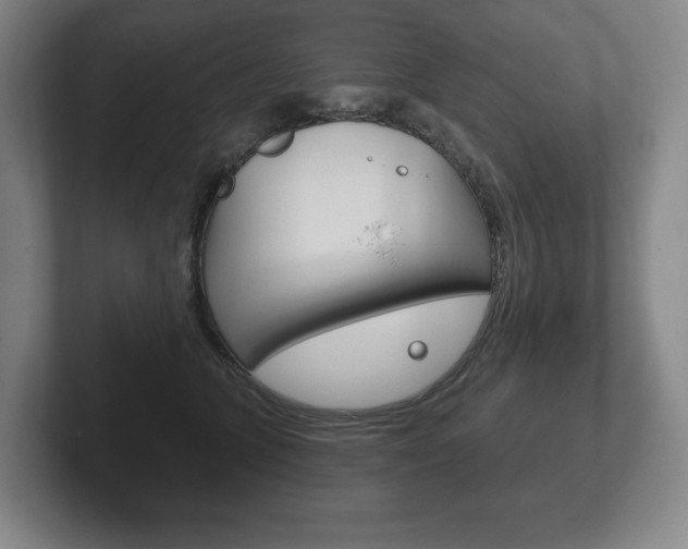 X0000102280563200807250943