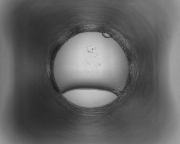 X0000102280564200807250943