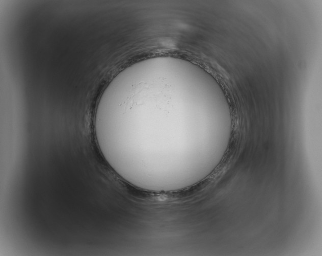 X0000102280565200807250943