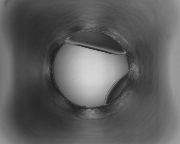 X0000102280566200807250943