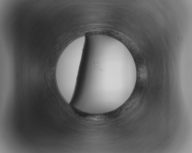 X0000102280567200807250943