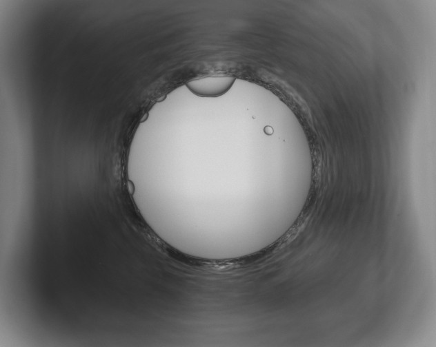 X0000102280569200807250943